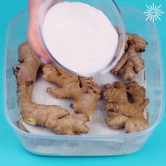 Genius hacks to keep everything in your fridge fresh!