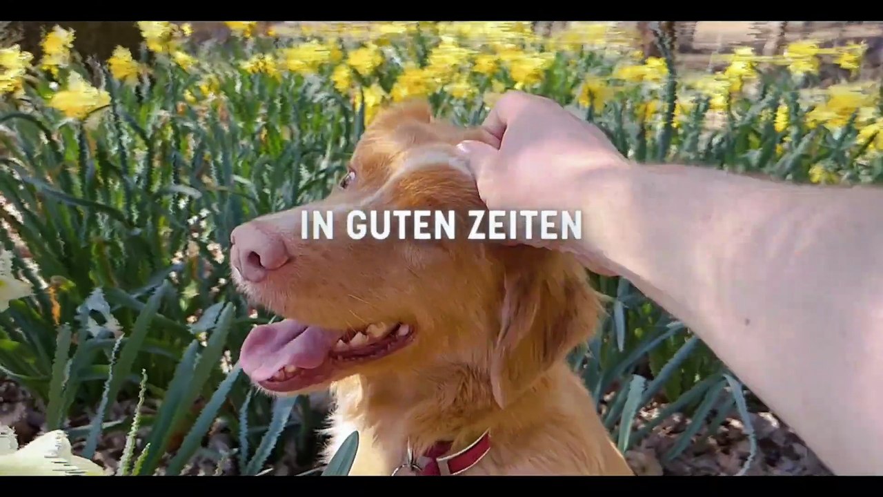 Good Boy - Trust His Instincts | movie | 2025 | Official Trailer