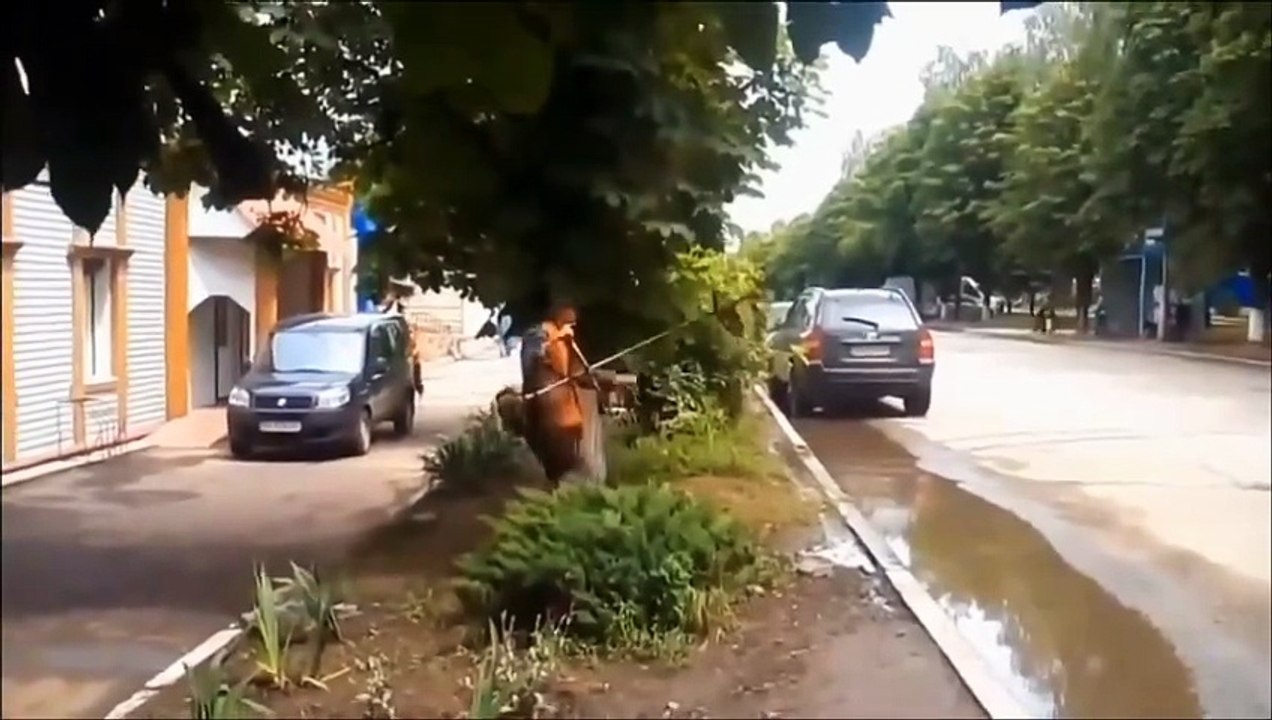 drinking on lunch break