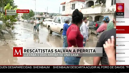Rescatan a perrita que pasó 5 días atrapada en la azotea de un edificio en Poza Rica