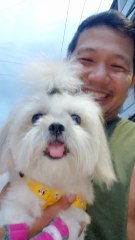 🔴 THURSDAY WORKOUT WITH PICKLES #shihtzu