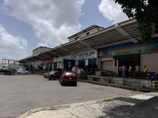 Continúan investigaciones por perros envenenados en Central de Abasto de Mérida