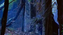 'El Piano', tráiler de la película de Jane Campion
