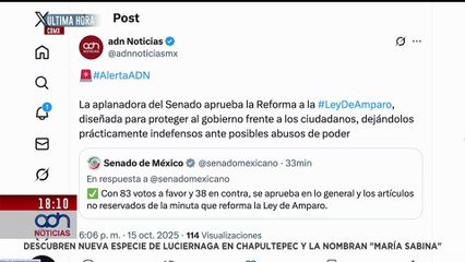 🚨¡Última Hora! La aplanadora del Senado aprueba la reforma a la Ley de Amparo