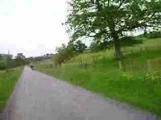 Reportage#11 La vitesse sur l'autoroute