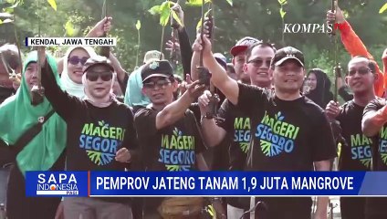 Pemprov Jateng Tanam 1,9 Juta Bibit Mangrove di Pantai Muara Kencana  | SAPA PAGI