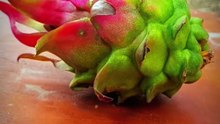 Cutting Dragon Fruit Is Very Satisfying — Food And Fruits