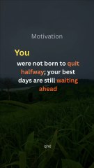 You Were Born to Rise 🌟 Powerful Motivation Quote in English  #inspirationalquotes #motivation