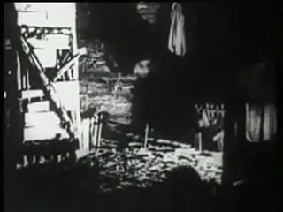 Whispers Beneath the Canopy Full Classic Film