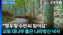 日 대나무숲에 '한글 낙서' 경악...시달리던 교토시, 최후의 결단 [지금이뉴스] / YTN