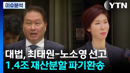 [뉴스나우] 최태원-노소영 재산분할 '파기환송'...핵심 쟁점은? / YTN