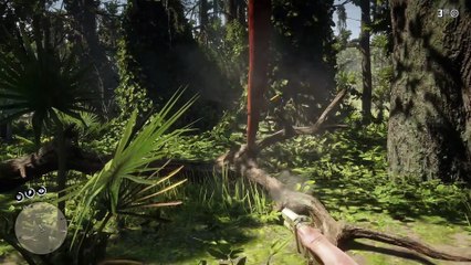 61. Players Went Deep Into The Secrets & Discovered These in RDR2