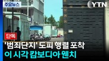 [단독] '범죄단지' 조직 도피 추정 행렬 포착...이 시각 캄보디아 웬치 / YTN