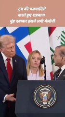 Trump की चमचागिरी करते हुए शहबाज, मुंह दबाकर हंसने लगी Meloni |Meloni Reaction #trump #pakpm #meloni