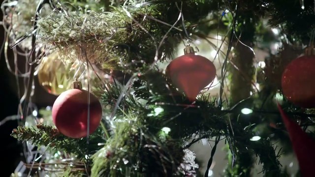 The Real Murders Elm Street Trailing