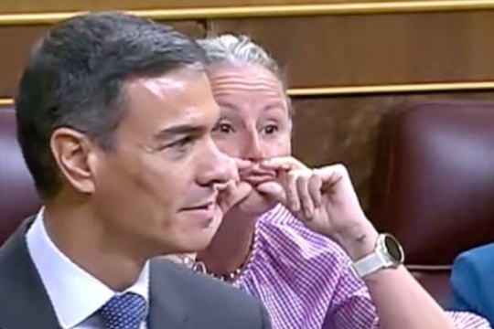 ¿Qué desayunó la portavoz del PSOE en Ferraz? Los inexplicables gestos de Montse Mínguez durante el último pleno