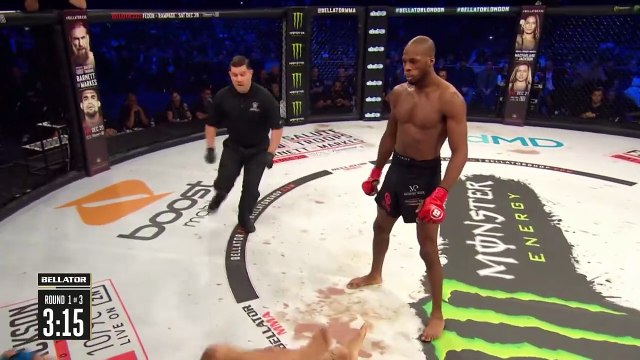 Best Knockouts & Submissions in MMA | Ultimate Fight Finishes 2025 (Part 01)