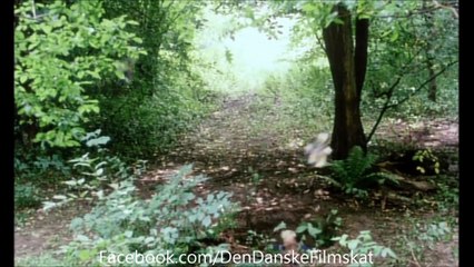 Zappa | movie | 1983 | Official Trailer