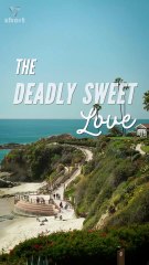 Firewall of Love shortmintz