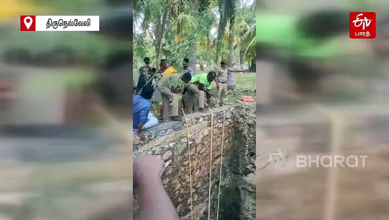கிணற்றில் தவறி விழுந்த மனநலம் பாதிக்கப்பட்ட இளைஞர் - 30 மணி நேர போராட்டத்திற்கு பின் பத்திரமாக மீட்பு!
