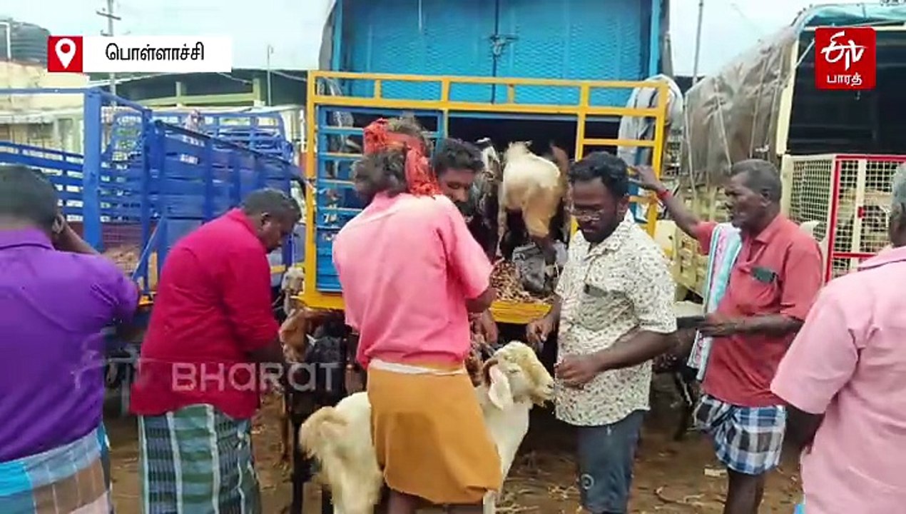 தீபாவளி கொண்டாட்டம்: ரூ.3 கோடிக்கு ஆடு, மாடு, கோழி விற்பனை! களைகட்டிய வார சந்தை!