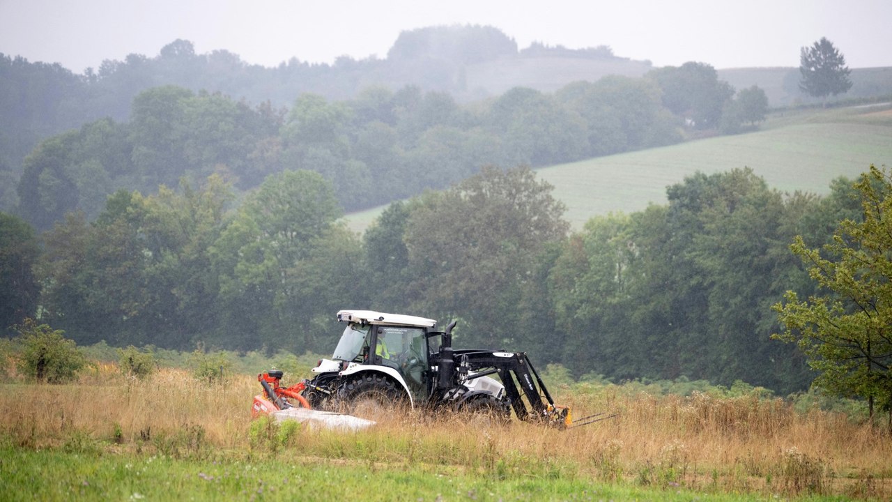 Natur 'wie vor 100 Jahren' – dort, wo einst der Eiserne Vorhang stand