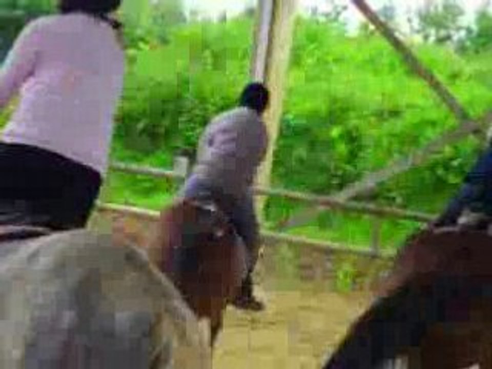 encore du galop
