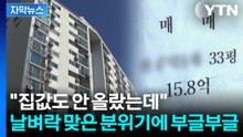 [자막뉴스] "우리는 왜 규제지역이냐"...꽁꽁 묶일 조짐에 격렬한 반발 / YTN