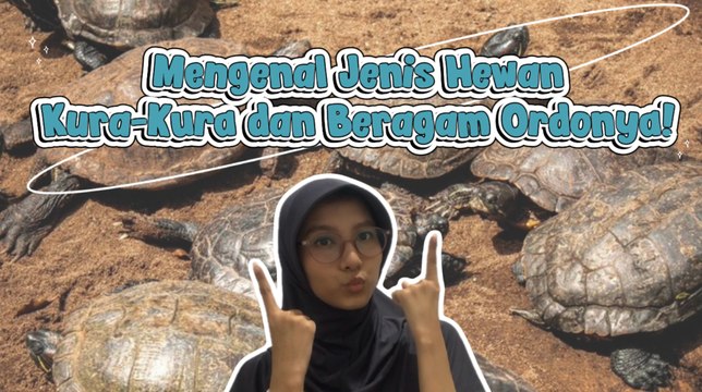Dari Darat ke Air, Ini Dia Berbagai Jenis Kura-Kura-<i>Serius Ini Hewan?</i>