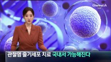 국내서도 관절염 줄기세포 치료 가능해진다