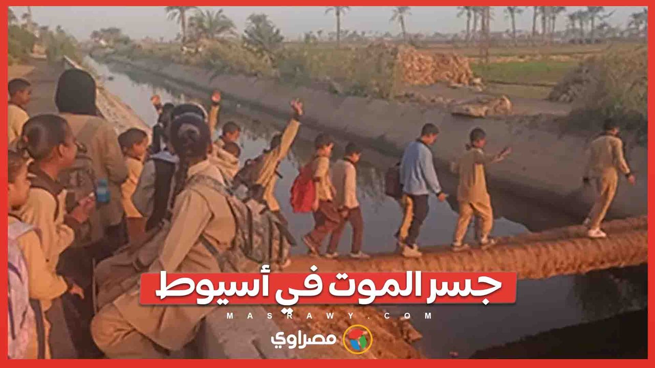 جسر المـ،ـوت في أسيوط.. تلاميذ يعبرون الترعة فوق جذع نخيل