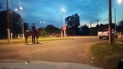 54° edición del raid federado "Día de las Ámericas" sobre 80 km. - Parte 1 de2 - Aceguá (12/10/2025)