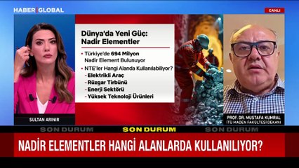 Nadir elementler Türkiye'ye ne kazandıracak?