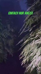 Von Buch zu Buch: Entdecke das faszinierende Labyrinth 📚