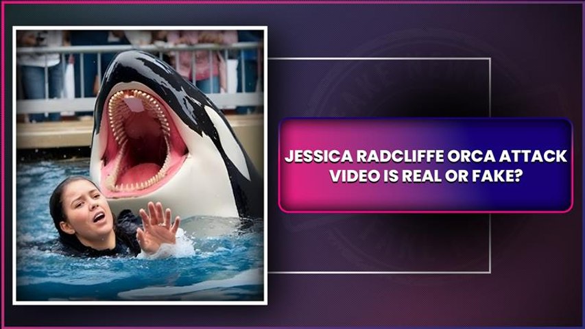 Fact Check: Is Jessica Radcliffe Orca Attack Video Fake? Know The Truth