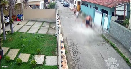 VÍDEO: mulher tenta proteger cãozinho, mas é derrubada e atacada por outro cachorro