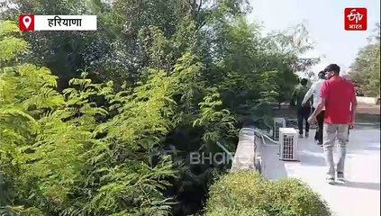 रेवाड़ी के कॉलेज कैंपस में घुसा तेंदुआ, CCTV में आया नज़र, सर्च ऑपरेशन जारी