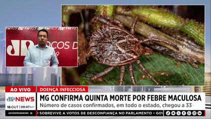 Minas registra quinta morte por febre maculosa em 2025