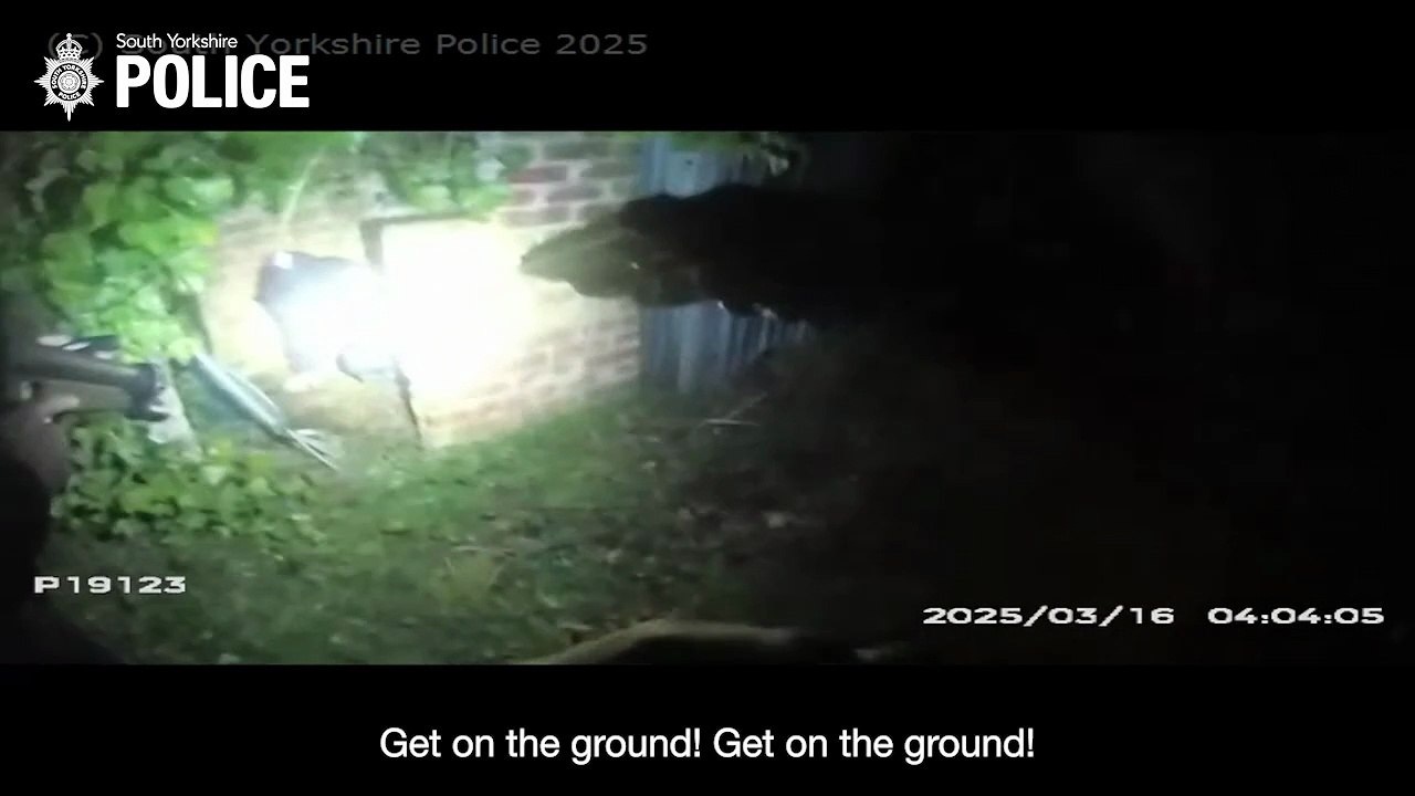 Watch dramatic footage showing moment armed cops force crawling killer out of hiding place