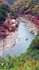 Arashiyama Bamboo Grove - A Japanese treasure