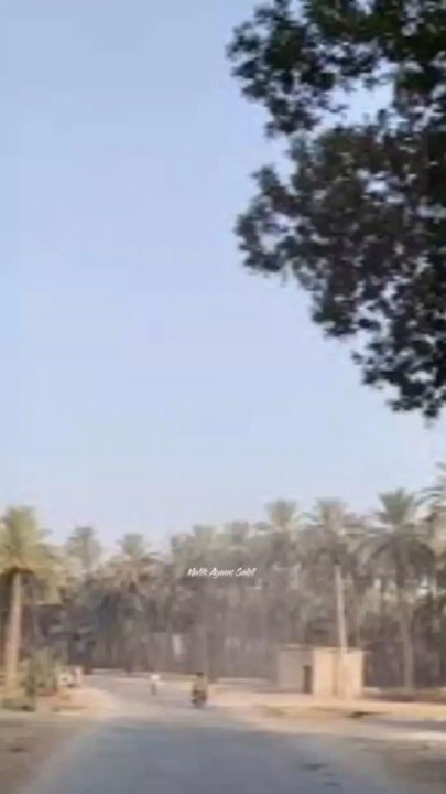 nature