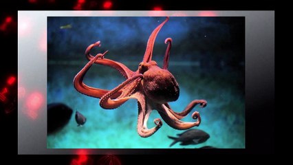 Autos y más- miércoles 15 de octubre 2025