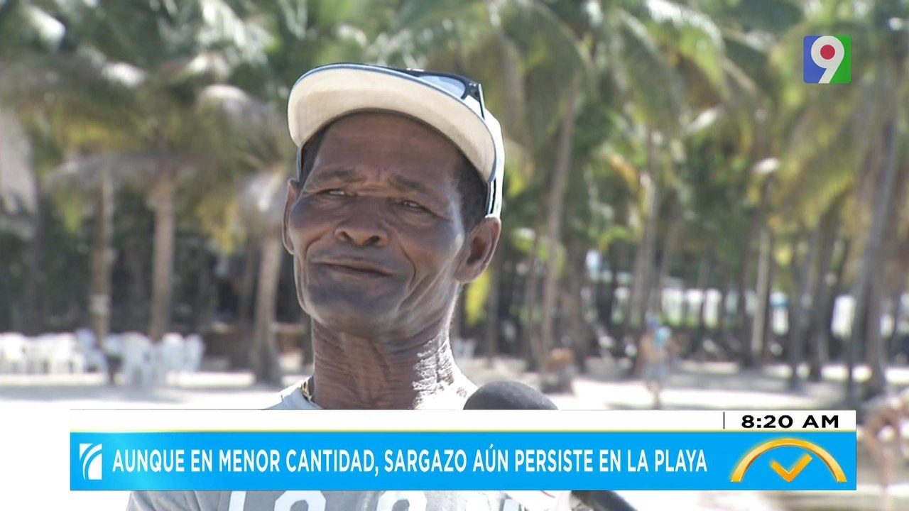 Sargazo deja grandes pérdidas a negocios de playa de Boca Chica | El Despertador