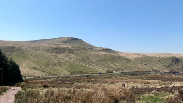 Calls for ban on new pylons