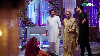 Aik Bhool Ep 16 Subtitles 16 Oct 25 Saniya Shamshad Ali Abbas Dania Enwer