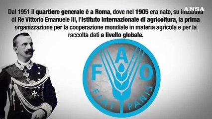 Gli 80 anni della Fao e la fame nel mondo