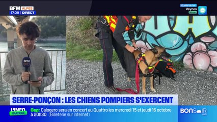 Bonsoir DICI du jeudi 16 octobre 2025