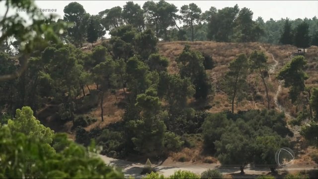 8 _ Sansão matou um leão com as próprias mãos, mas foi derrotado perante a Deus Força e fraqueza como Sansão se tornou um herói da fé apesar dos erros que cometeu