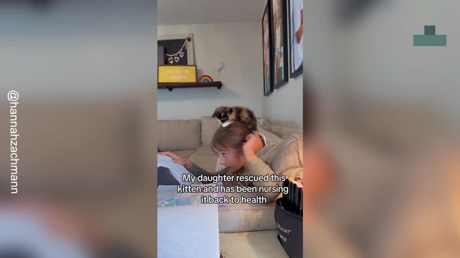 ⁣Young Girl Cares for Abandoned Kitten and Nurses It Back to Health