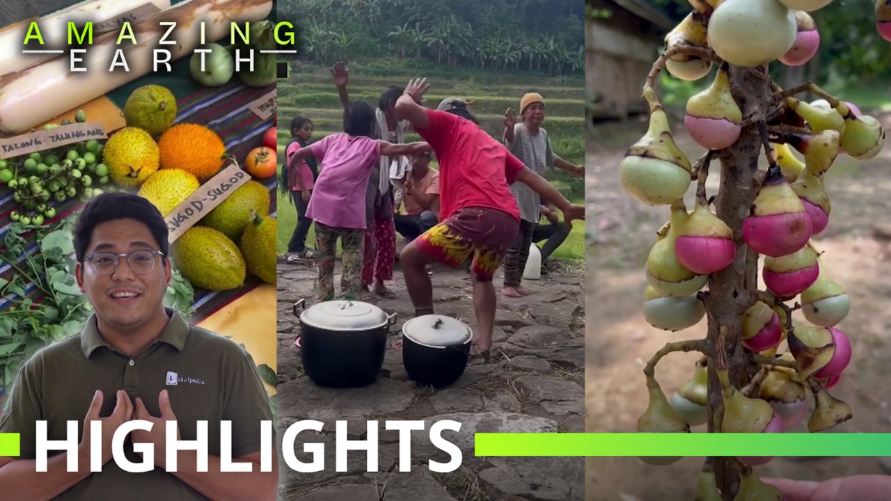 Amazing Earth: Preserving Filipino food culture with John Sherwin Felix!